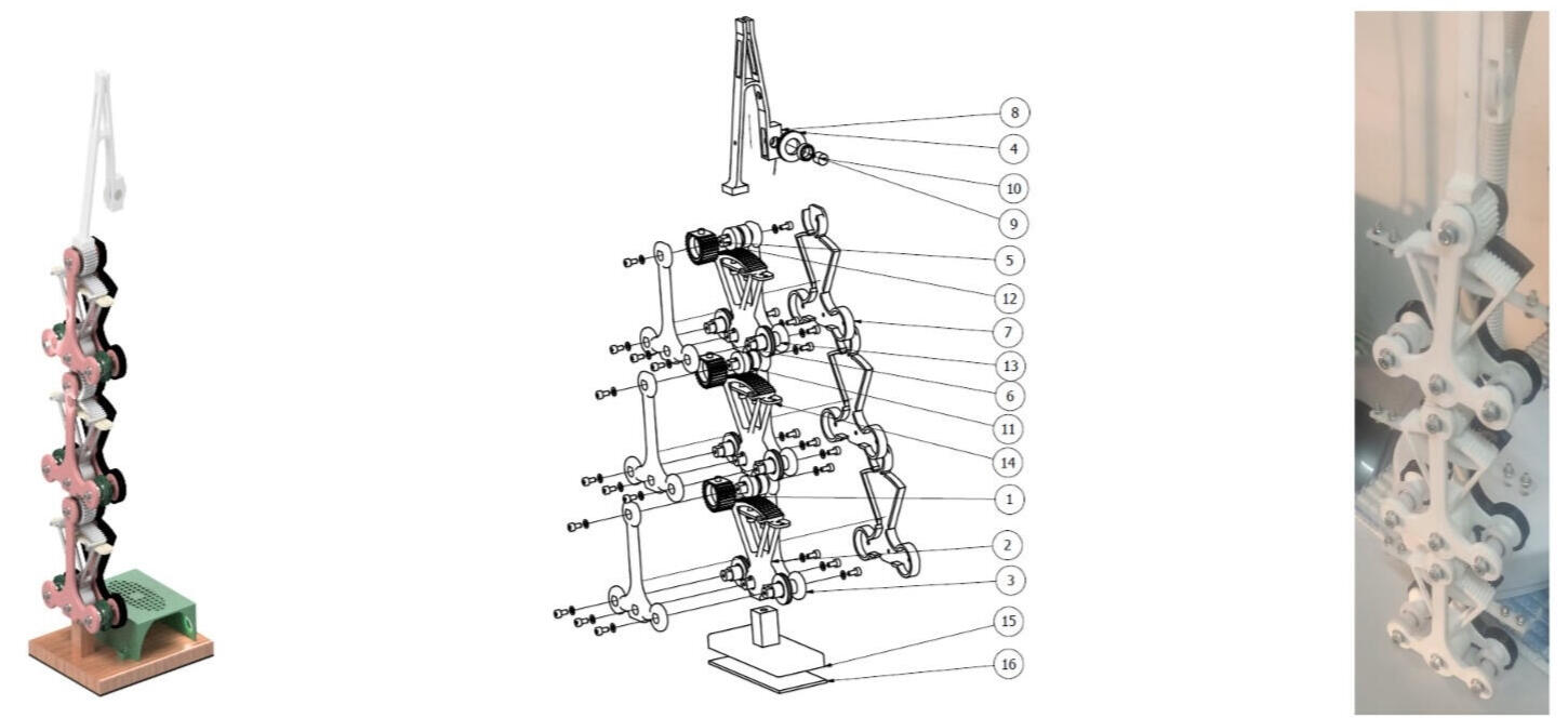 Experience Founder PandamorphiX