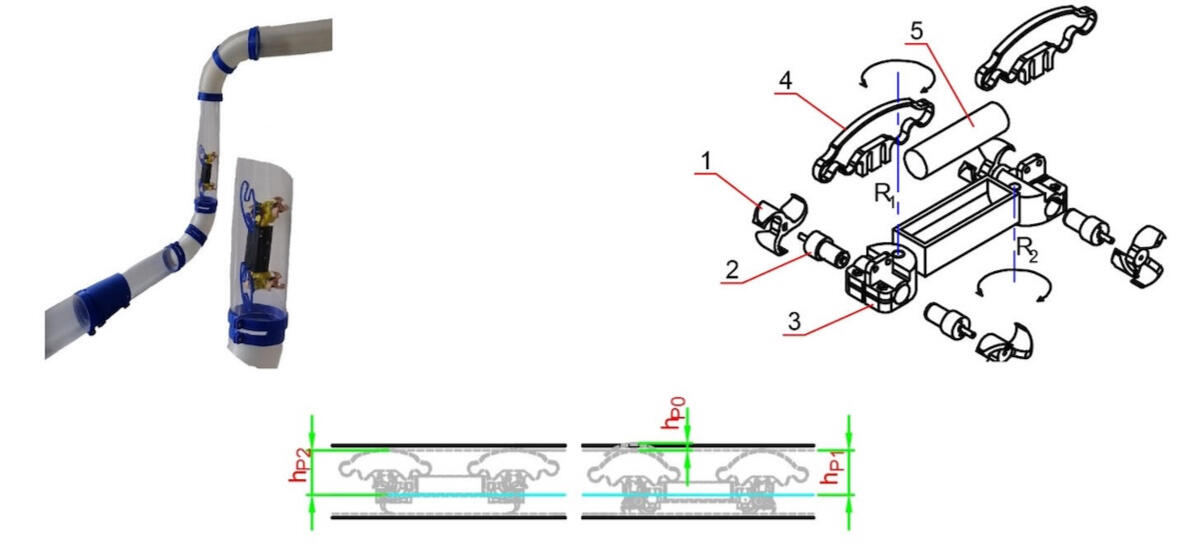 Experience Founder PandamorphiX