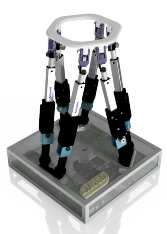 Experience Founder PandamorphiX