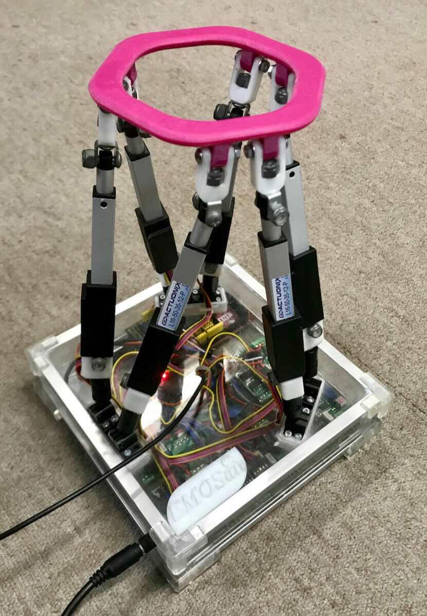 Experience Founder PandamorphiX