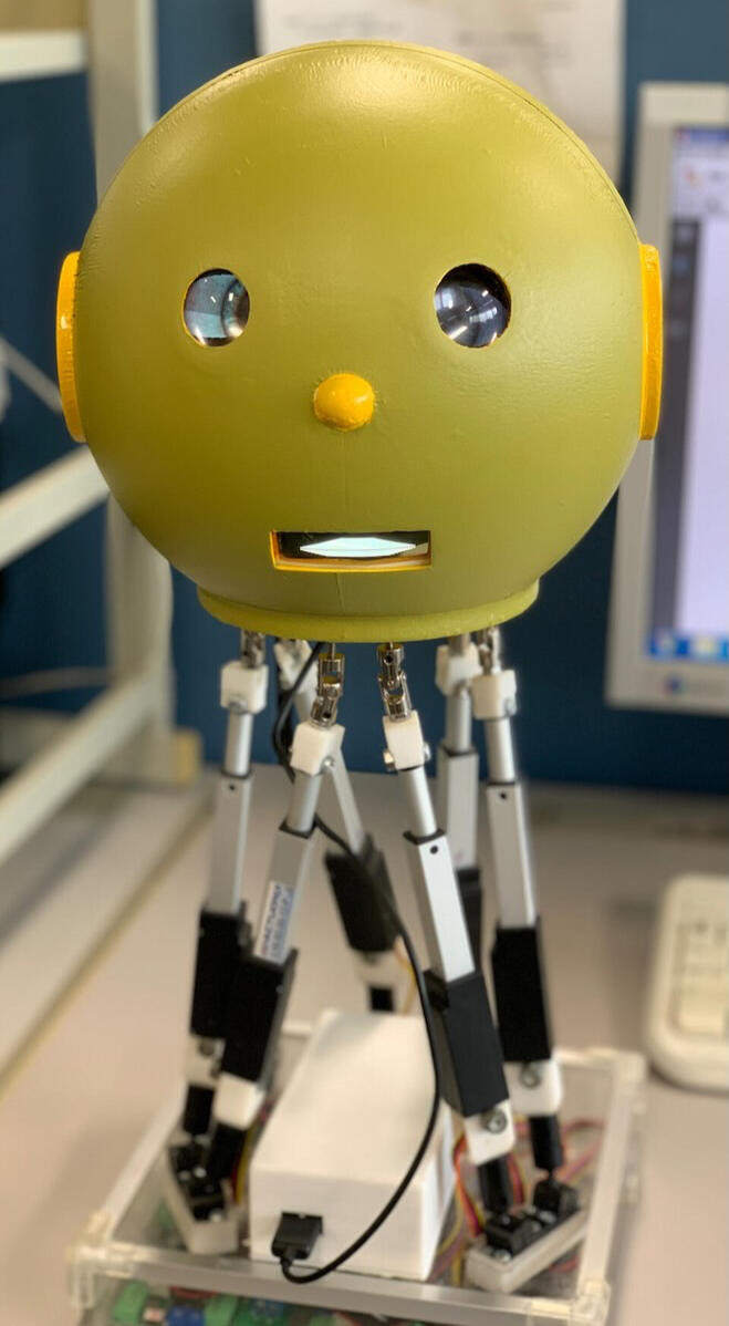 Experience Founder PandamorphiX