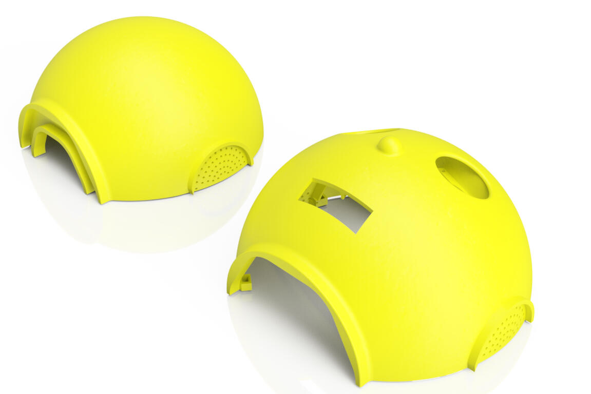 Experience Founder PandamorphiX