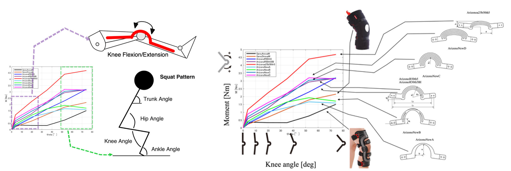 Experience Founder PandamorphiX