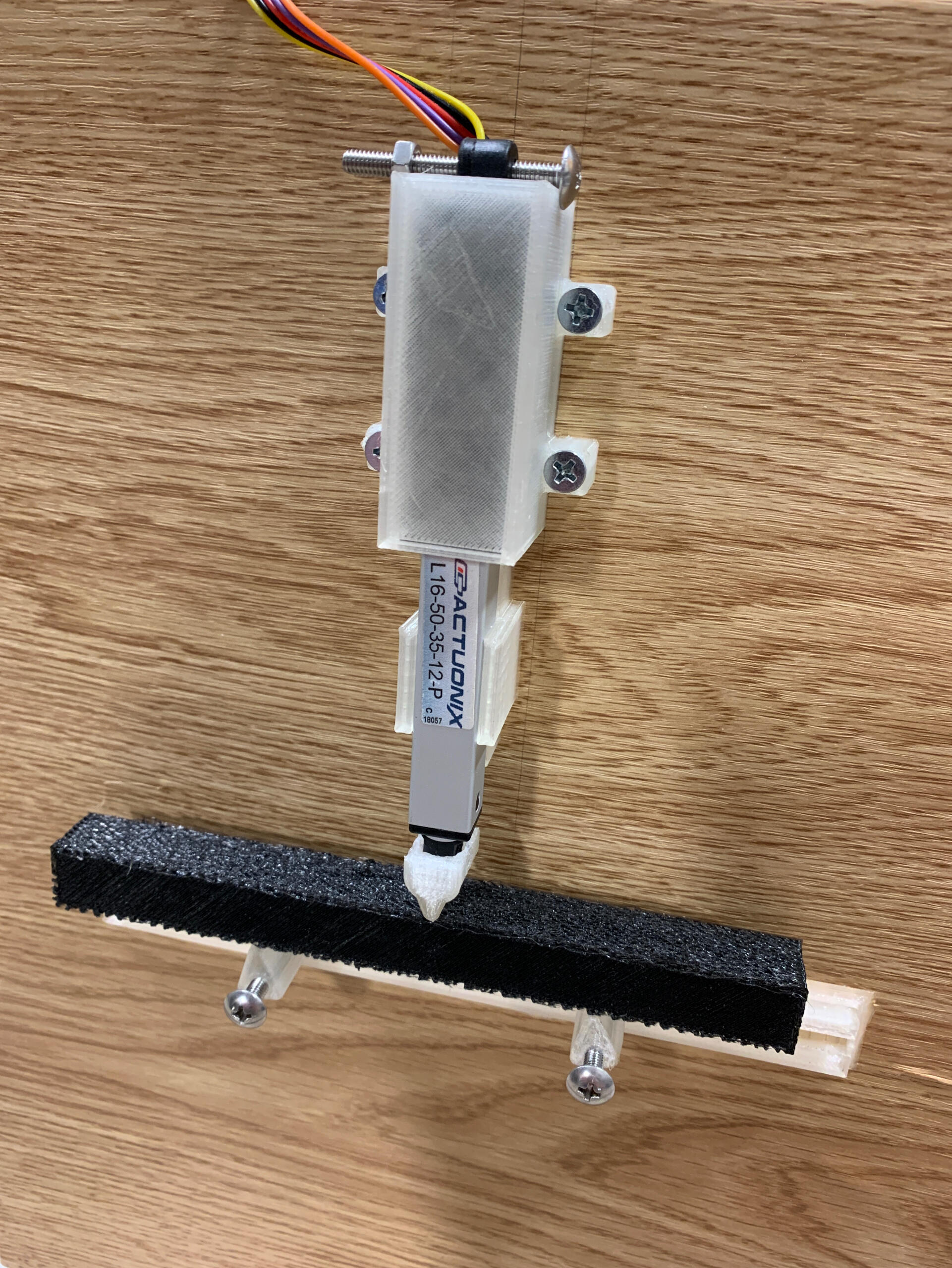 Experience Founder PandamorphiX