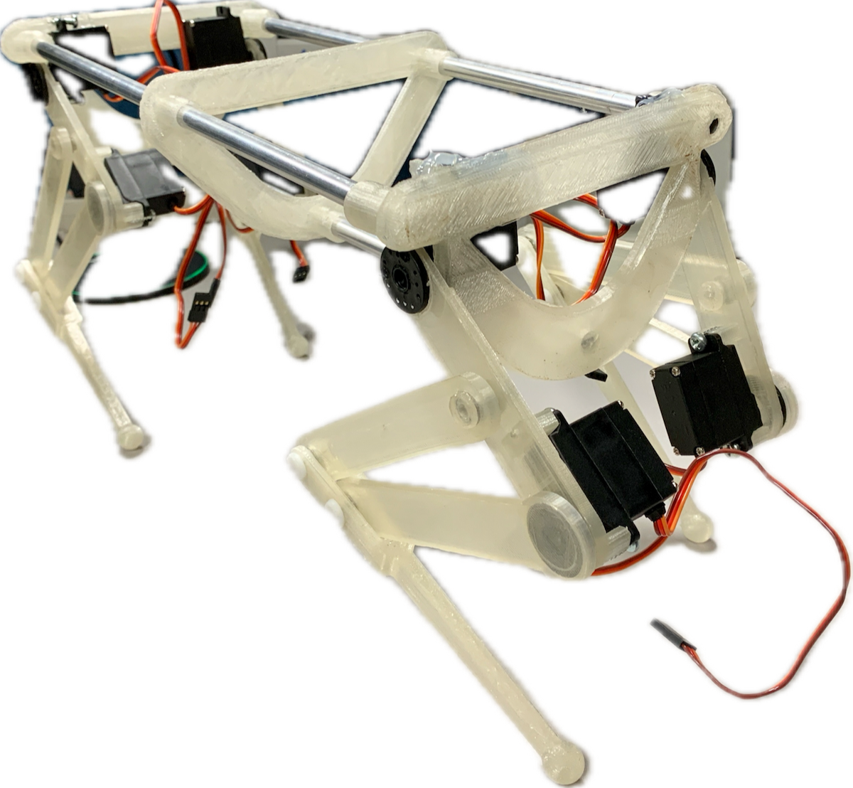 Experience Founder PandamorphiX